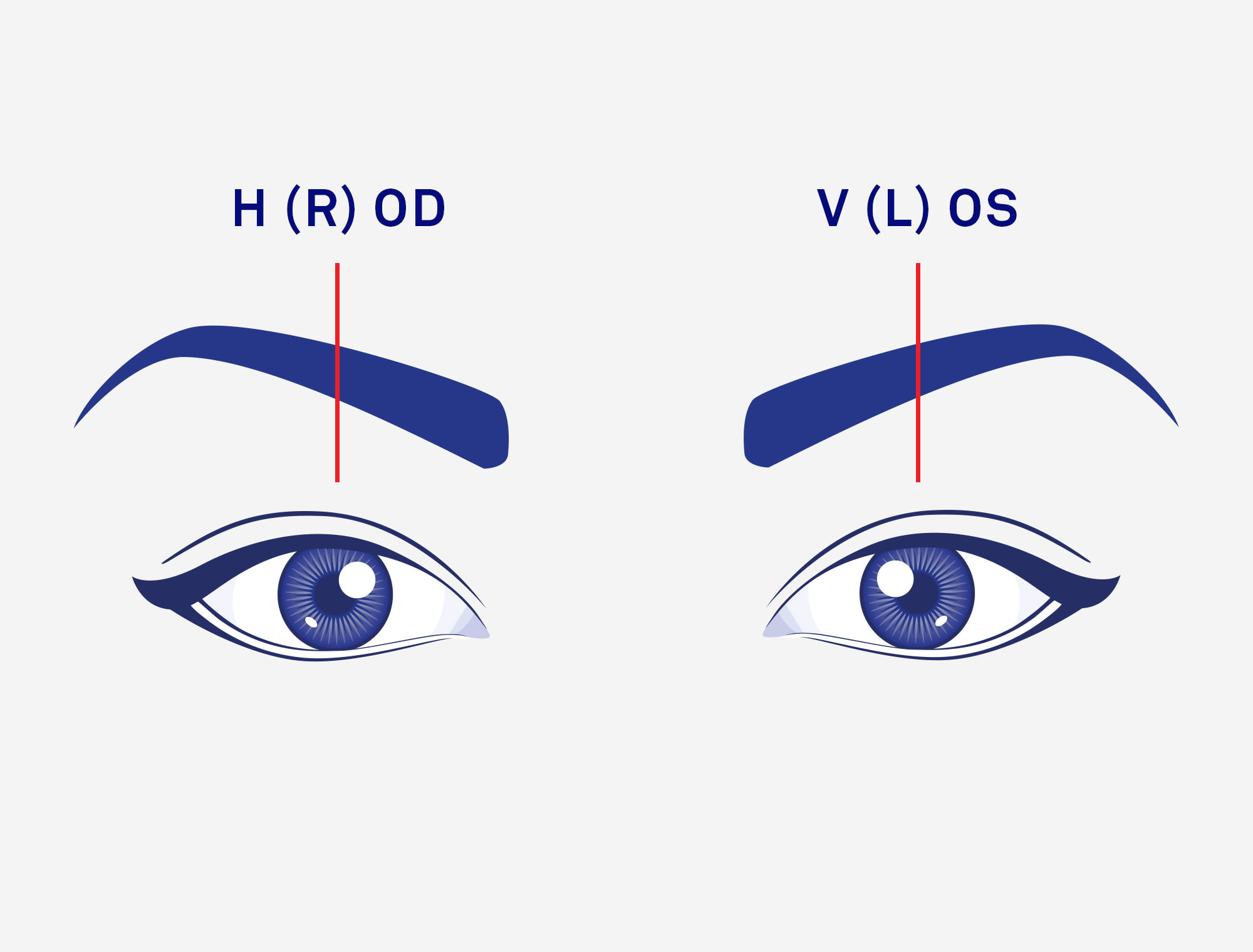 Teckning av ögon som beskriver höger och vänster öga.