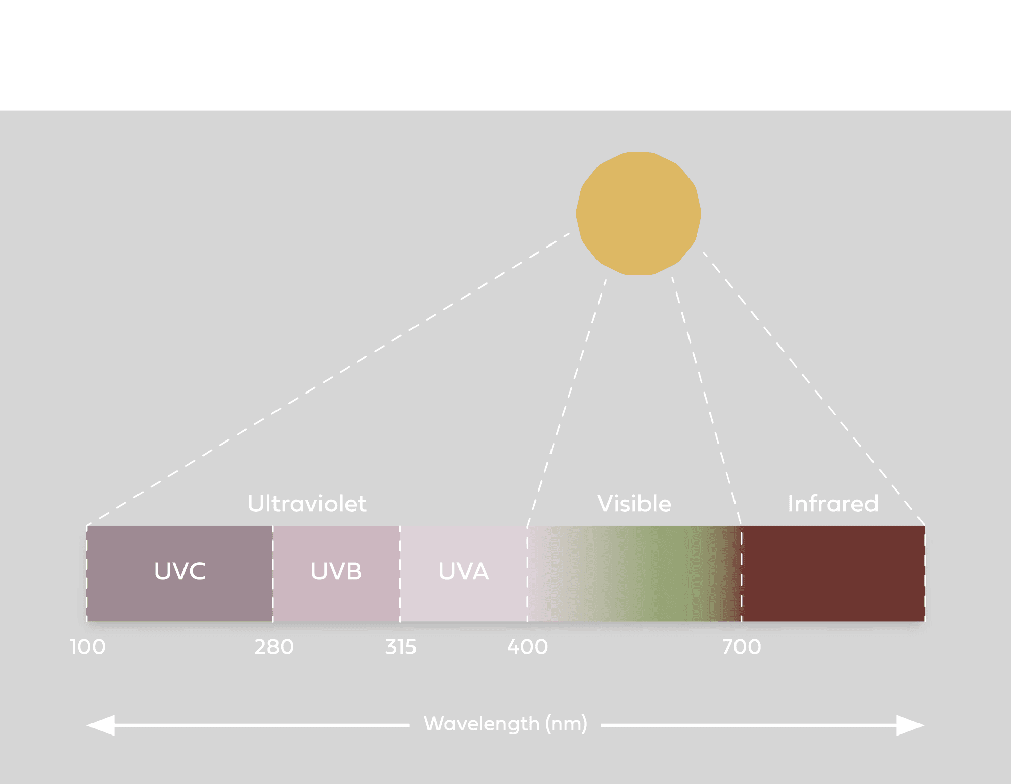 De forskellige UV-stråler