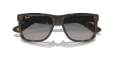 Justin RB4165-865/8S Polarized