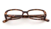 Bild av Dreams - Brown Tortoise