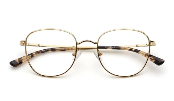 Alloy - C01 Light Gold